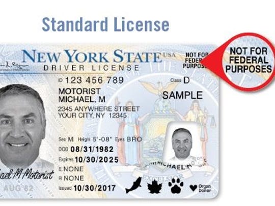 New york drivers license document number location